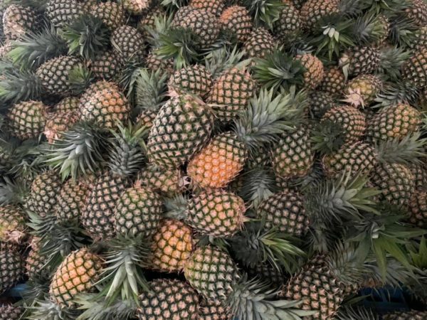 Organic Pineapple