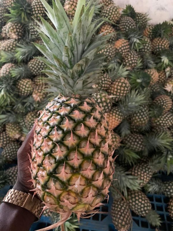 Organic Pineapple - Image 2