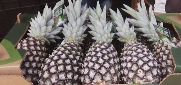 Organic Pineapple - Image 3