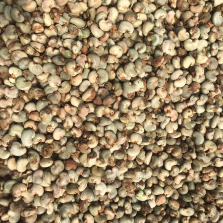 Raw Cashew Nuts - Image 5