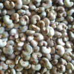 Raw Cashew Nuts