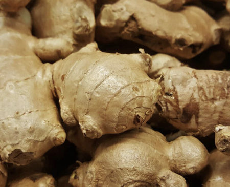 AFRICAN GINGER - Image 3