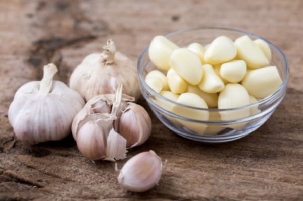 Allium Sativa (Garlic) - Image 4