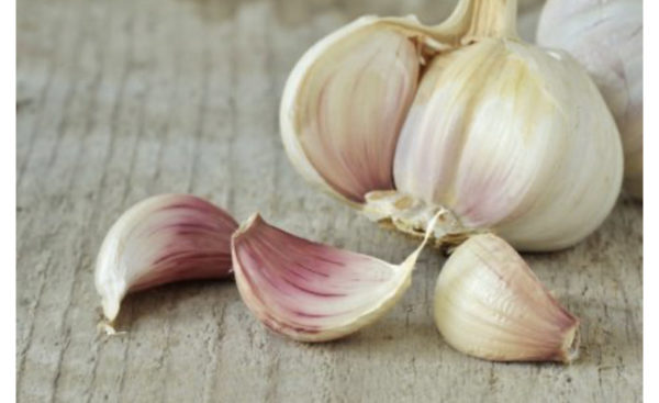 Allium Sativa (Garlic) - Image 5