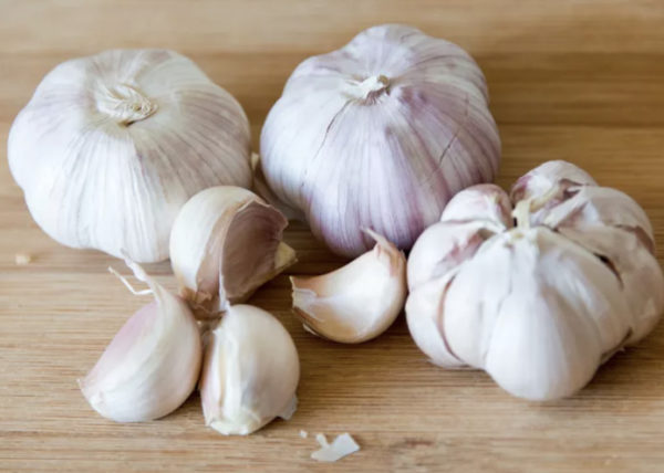 Allium Sativa (Garlic) - Image 2