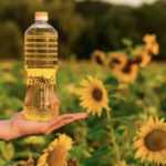 Sunflower Oil
